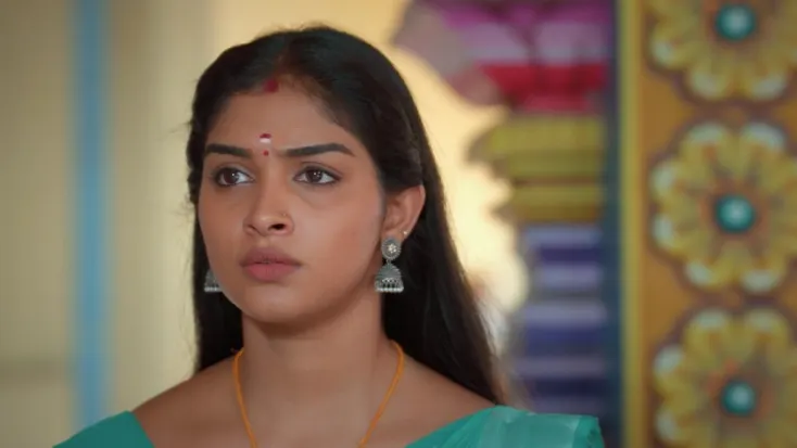 Karthika deepam serial online outlet