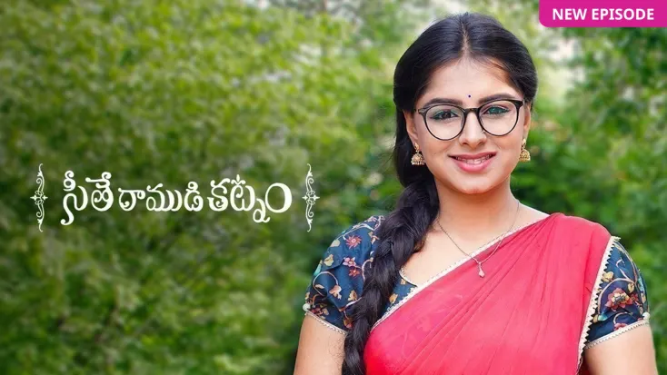Zee telugu 2025 online