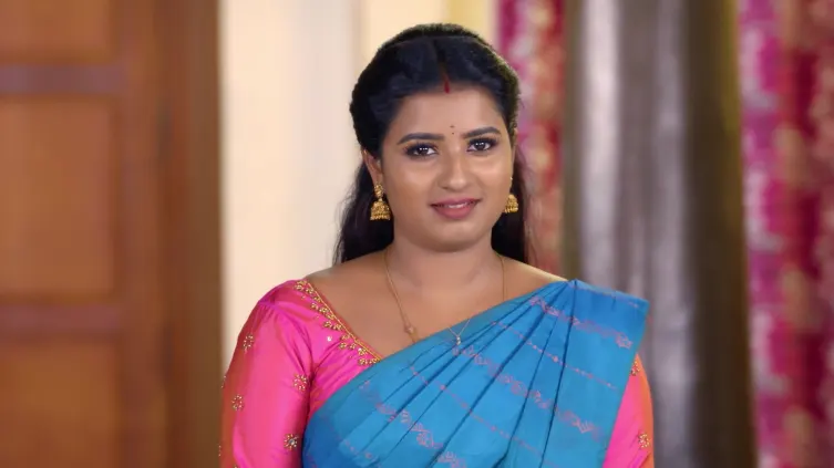 Karthigai Deepam - February 142026 - Webisode undefined Webisode