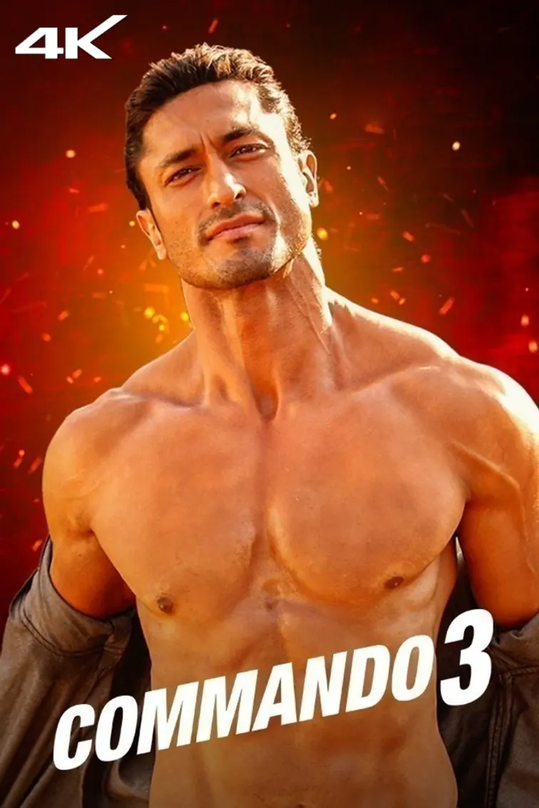 Commando 3 Movie