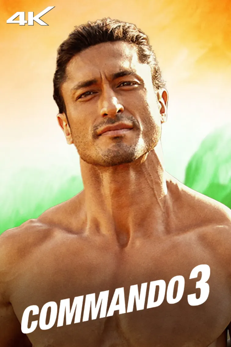 Commando 3 Movie