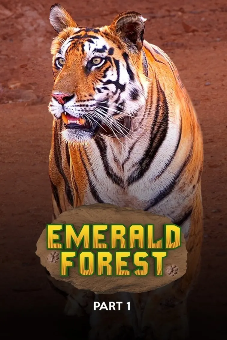 Emerald Forest (Part 1) Movie