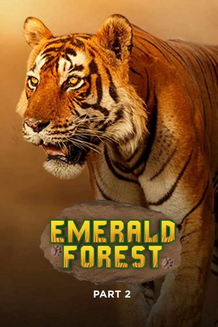 Emerald Forest (Part 2) Movie
