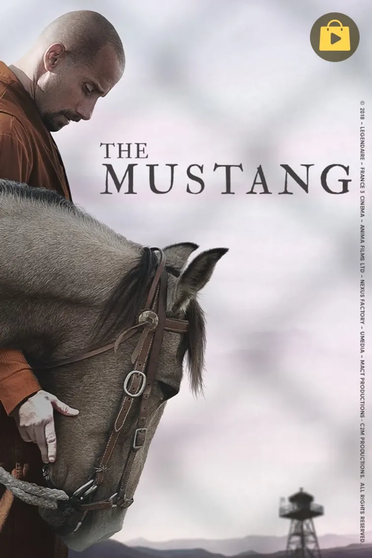 The Mustang Movie