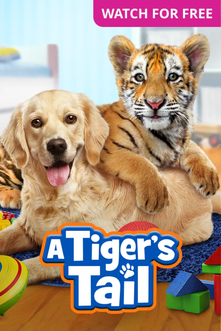 A Tiger's Tail Movie