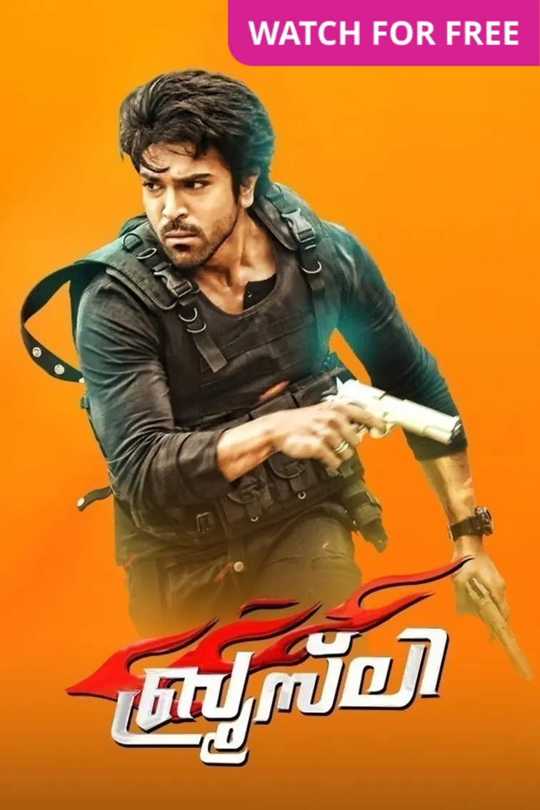 Bruce Lee: The Fighter Movie