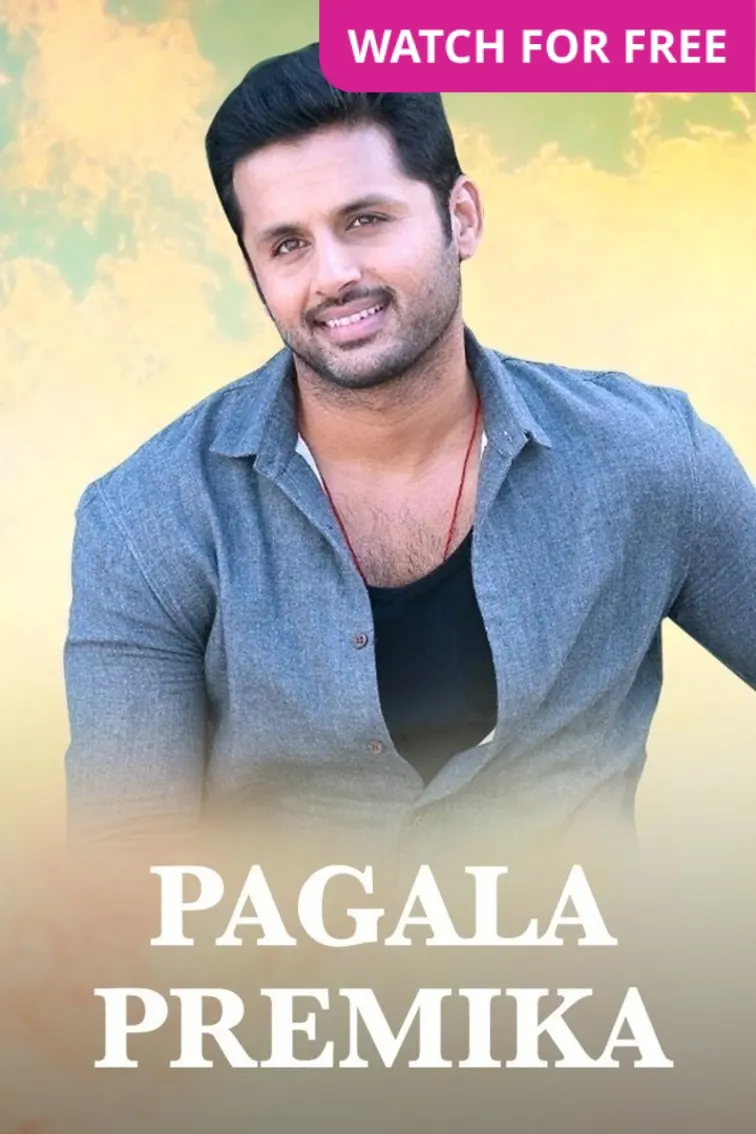 Pagala Premika Movie