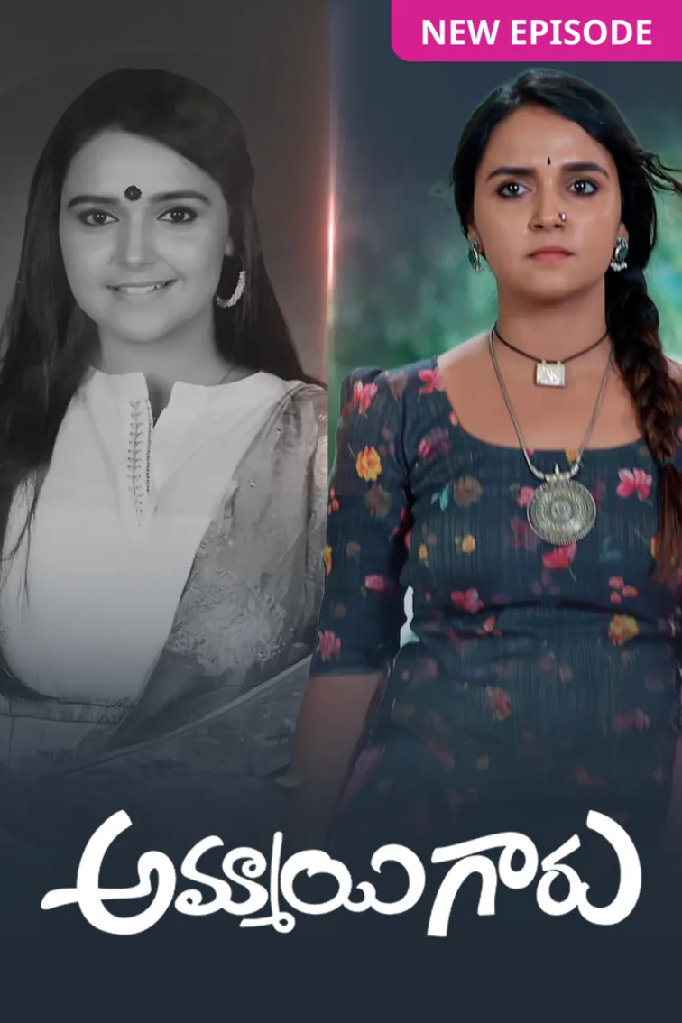 Ammayi Garu TV Show