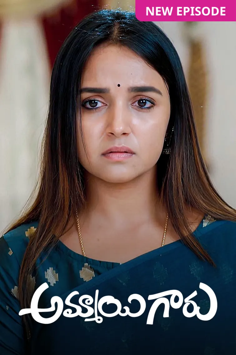 Ammayi Garu TV Show