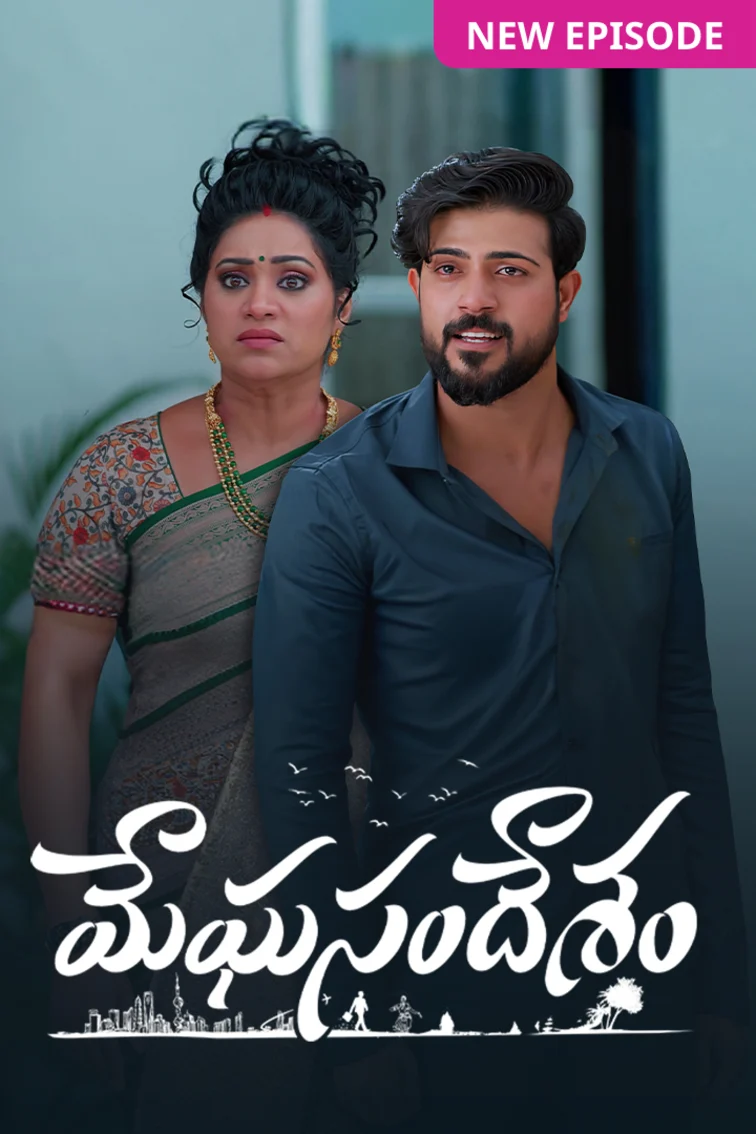 Meghasandesam TV Show