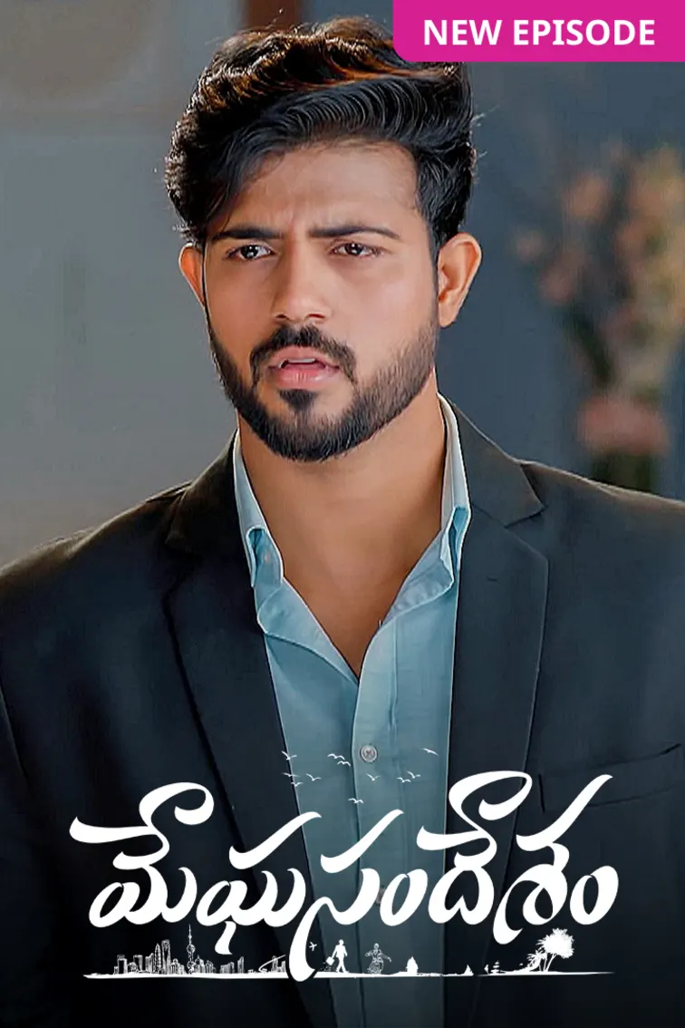 Meghasandesam TV Show