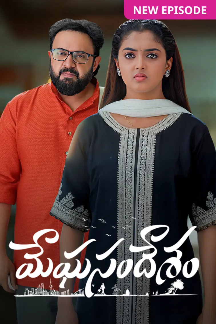 Meghasandesam TV Show