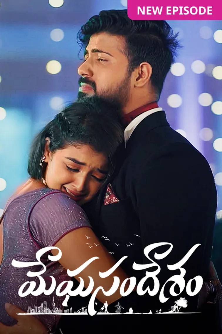 Meghasandesam TV Show