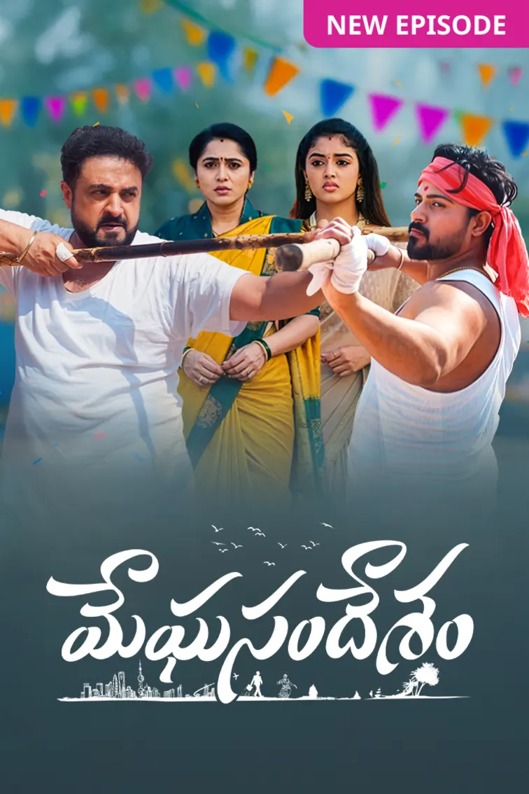 Meghasandesam TV Show