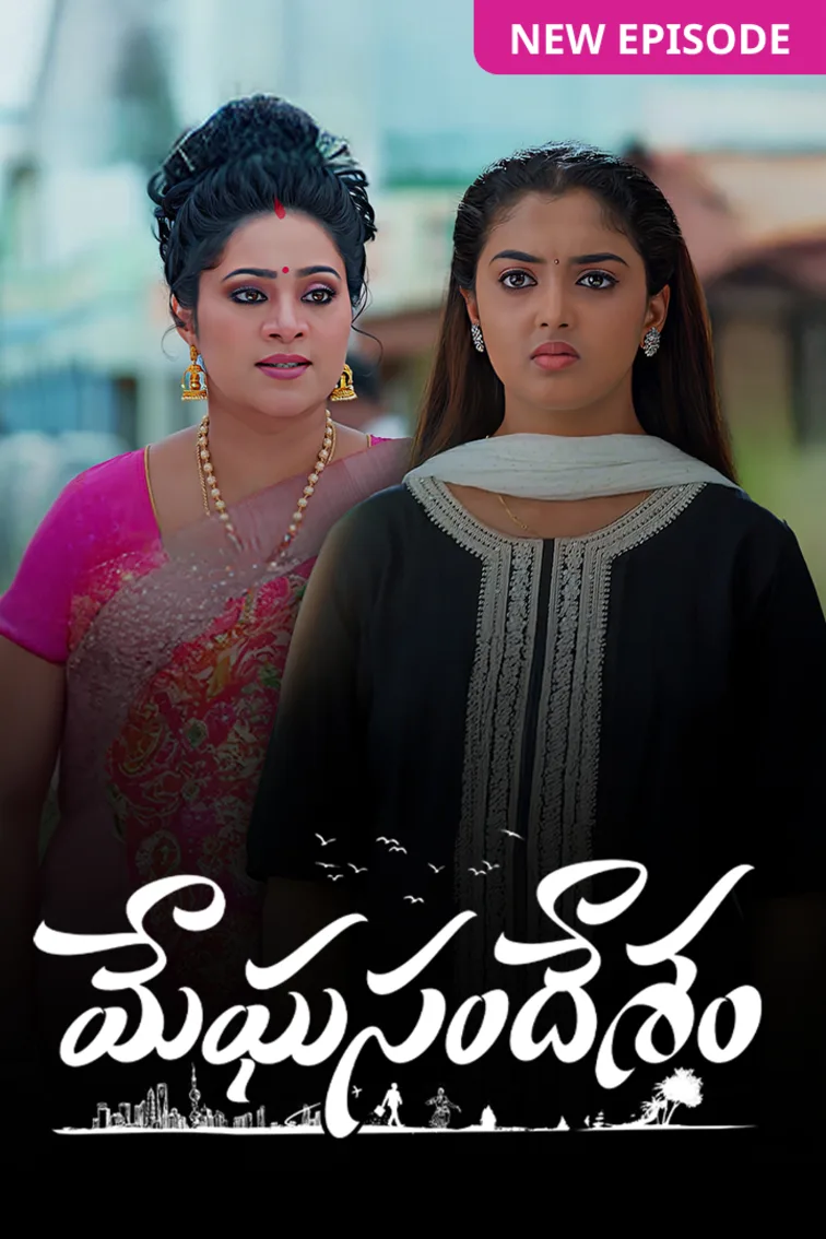 Meghasandesam TV Show