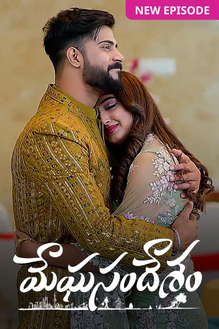 Meghasandesam TV Show