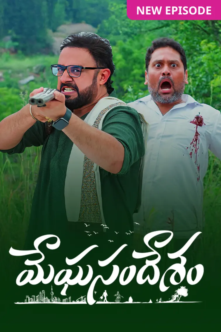 Meghasandesam TV Show