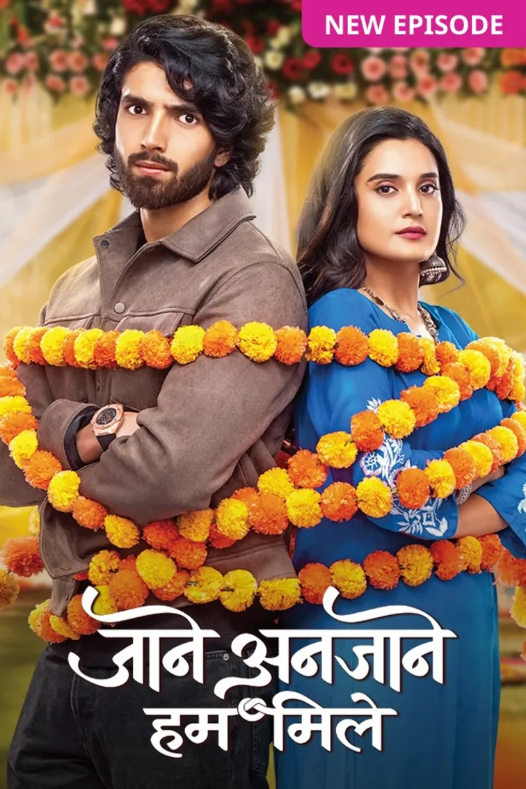 Jaane Anjaane Hum Mile TV Show