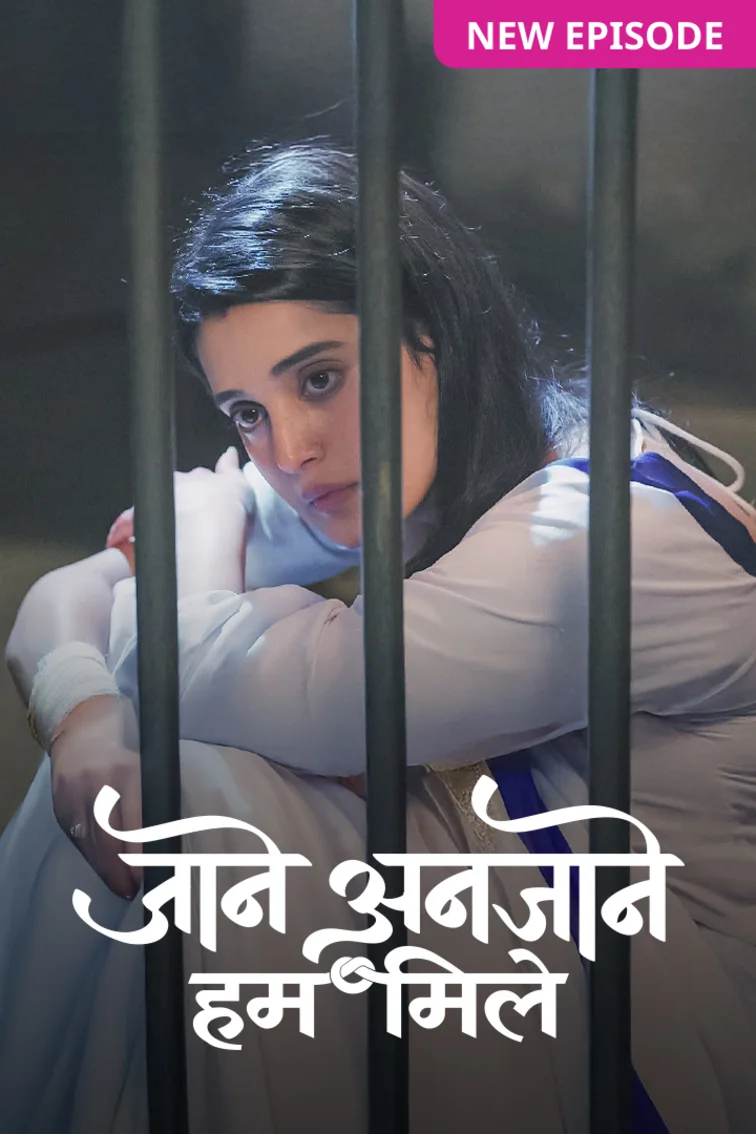 Jaane Anjaane Hum Mile TV Show