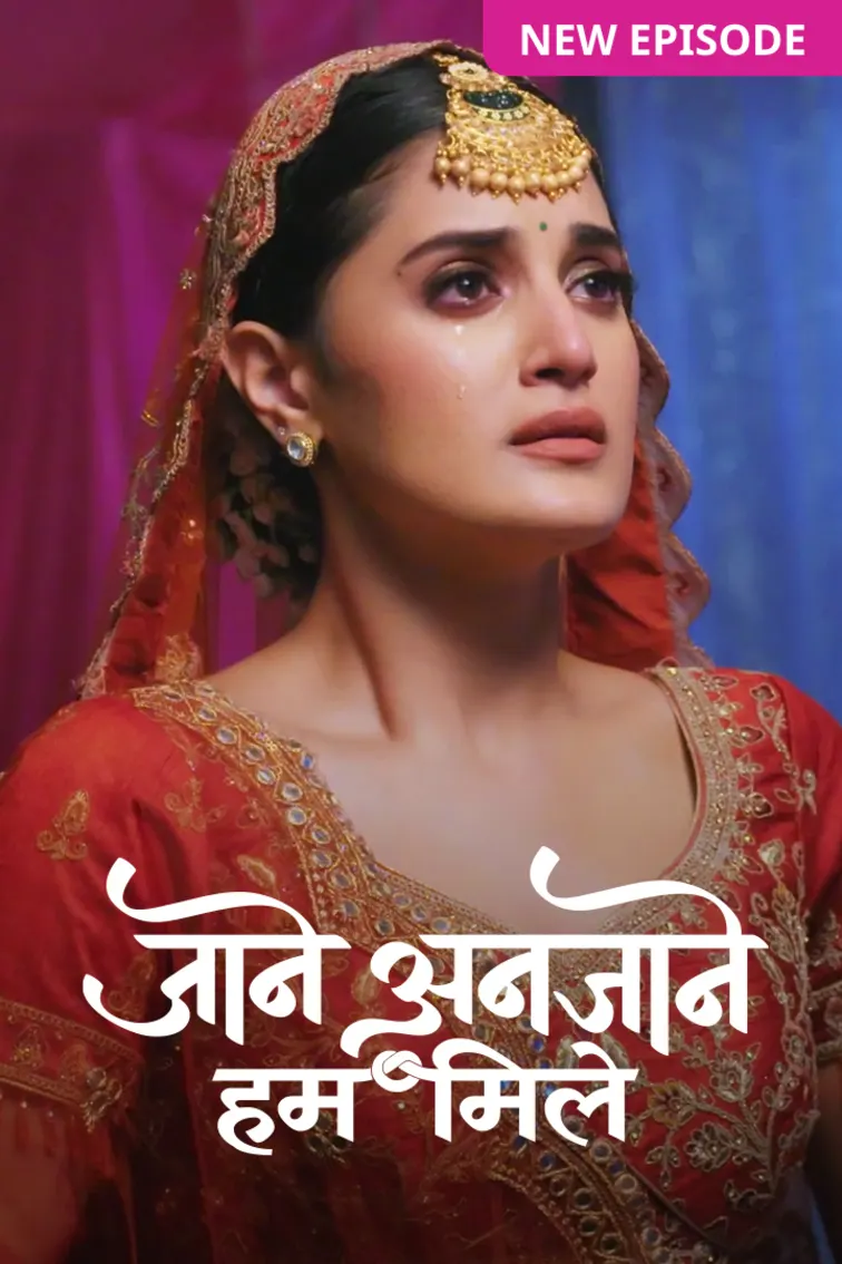 Jaane Anjaane Hum Mile TV Show