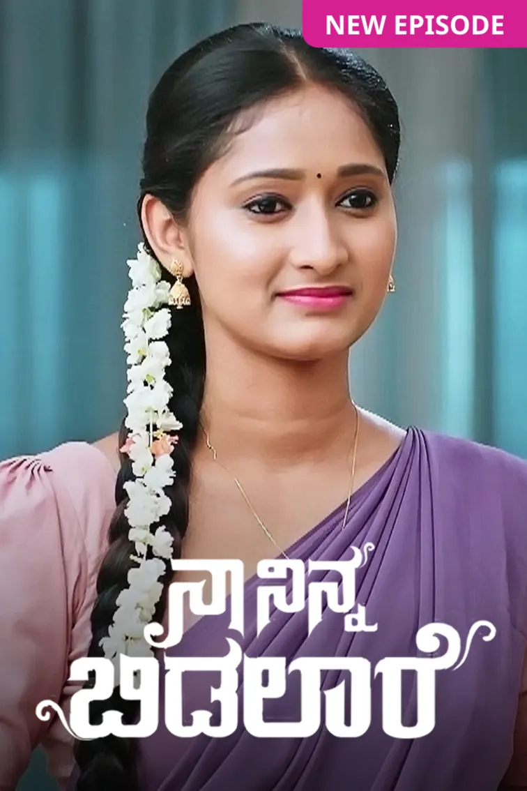 Naa Ninna Bidalaare TV Show