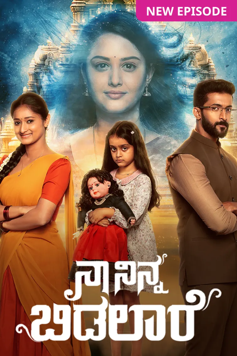 Naa Ninna Bidalaare TV Show