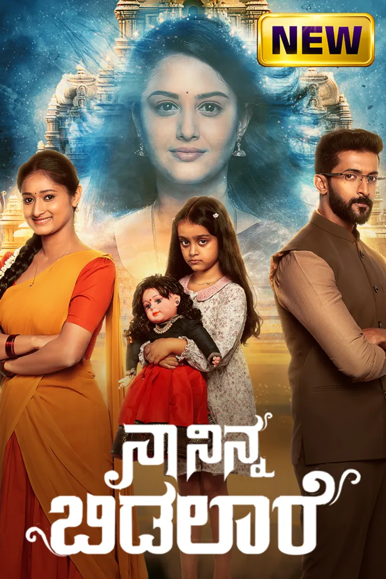 Naa Ninna Bidalaare TV Show