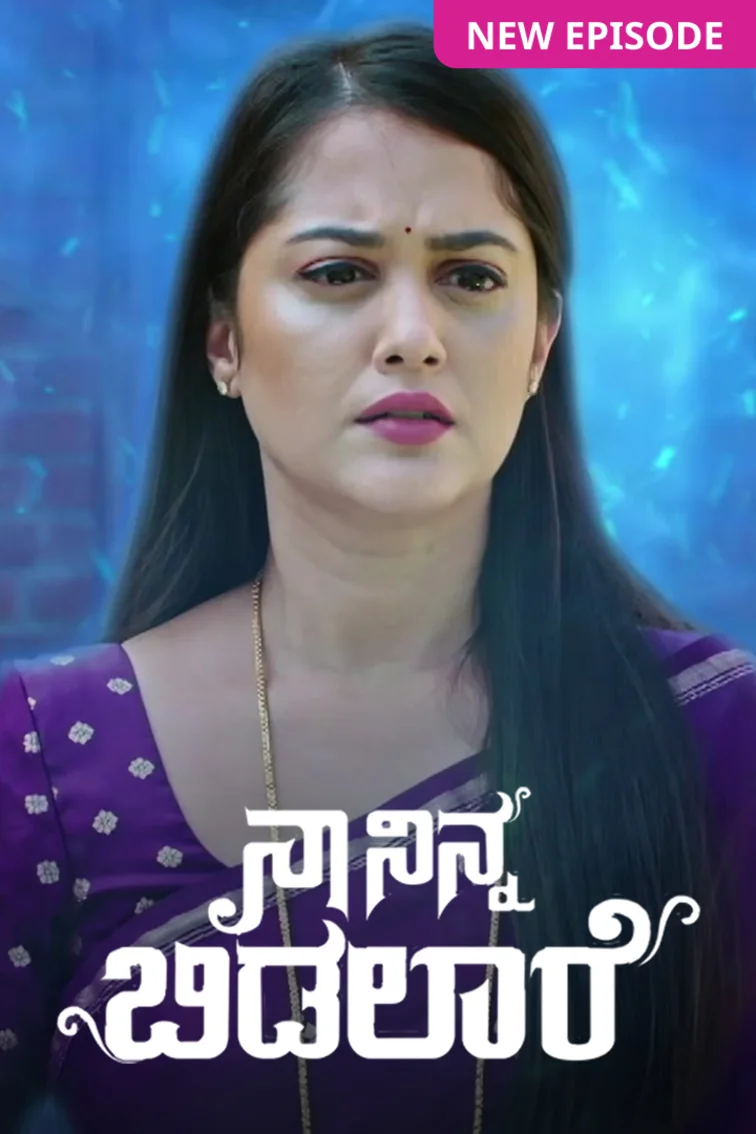  Naa Ninna Bidalaare TV Show