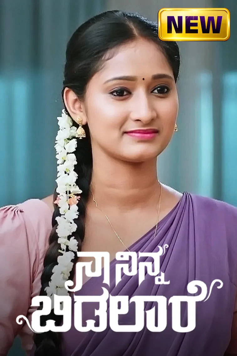 Naa Ninna Bidalaare TV Show