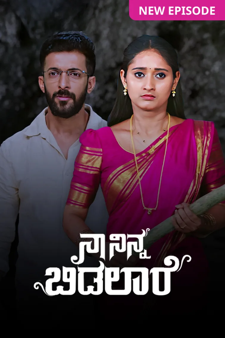  Naa Ninna Bidalaare TV Show