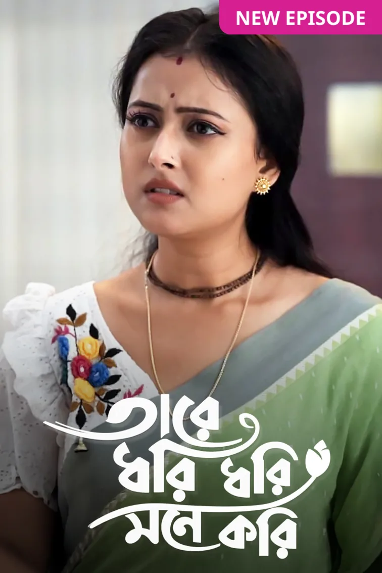 Tare Dhori Dhori Mone Kori TV Show