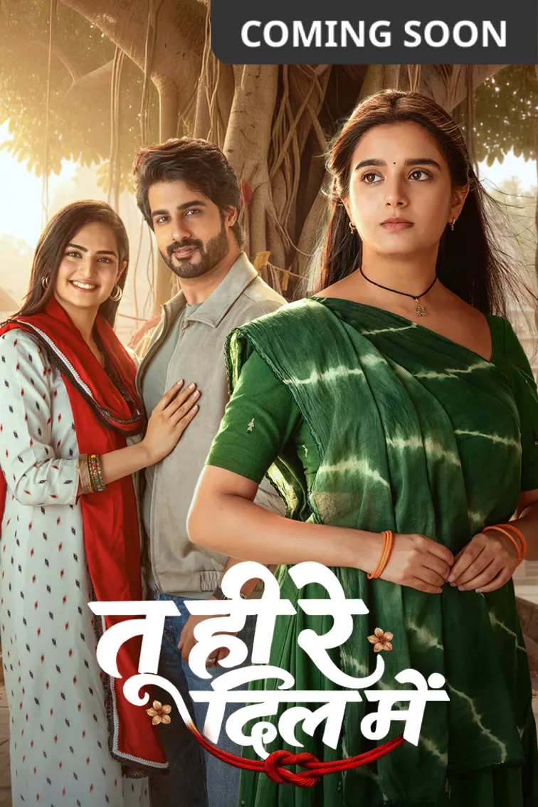 Tu Hi Re Dil Mein TV Show