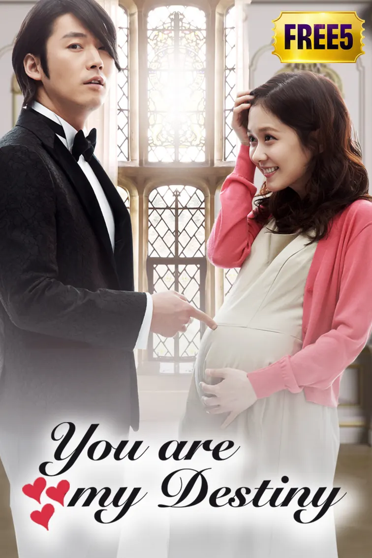 You Are My Destiny TV Show