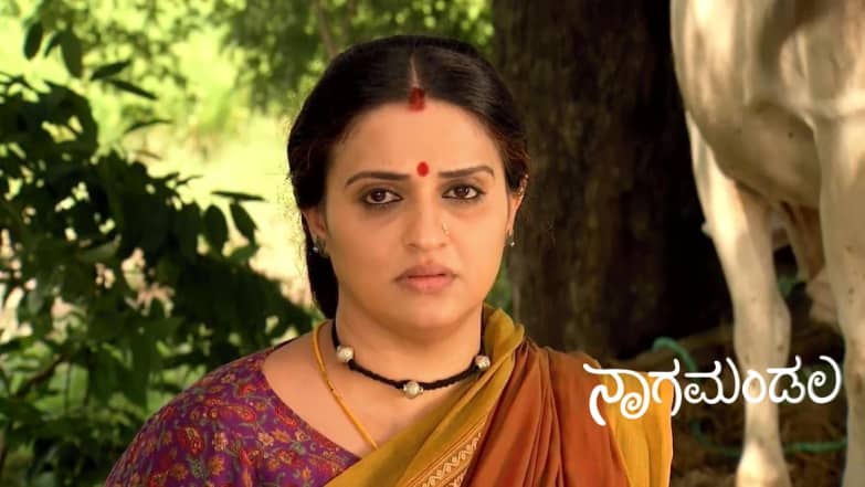 A Snake Enters Dhananjaya's House Episode 9