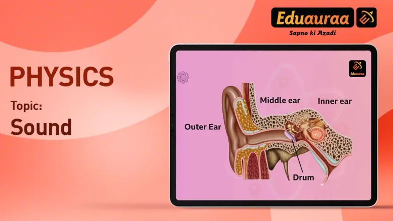The Human Ear 