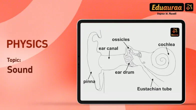 The Human Ear | Hindi 