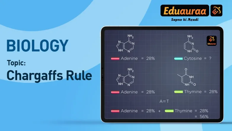 Chargaff's Rule 