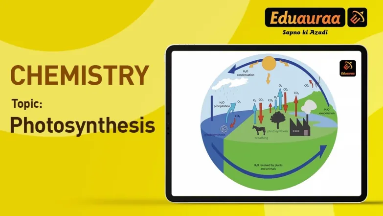 Photosynthesis 