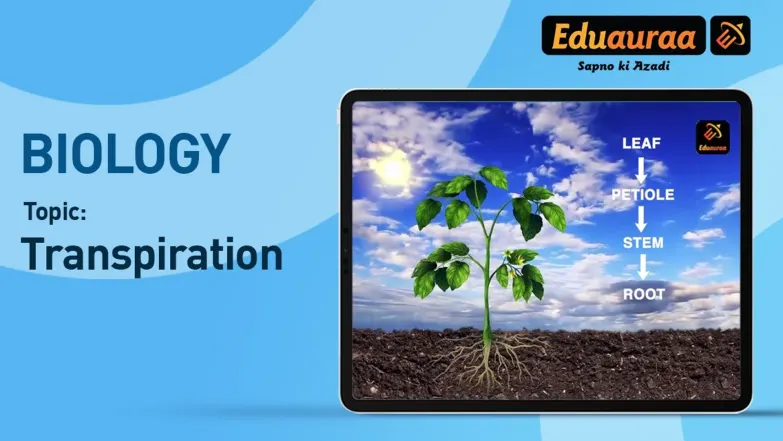 Transpiration in Plants 