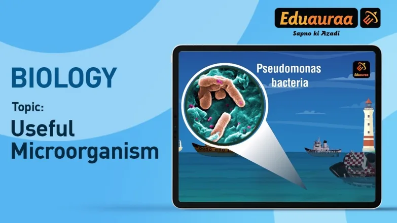 Useful Microorganisms 