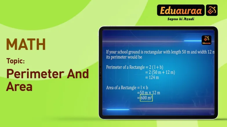 Perimeter and Area 