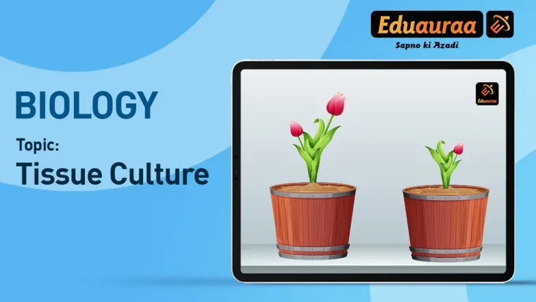Plant Tissue Culture 