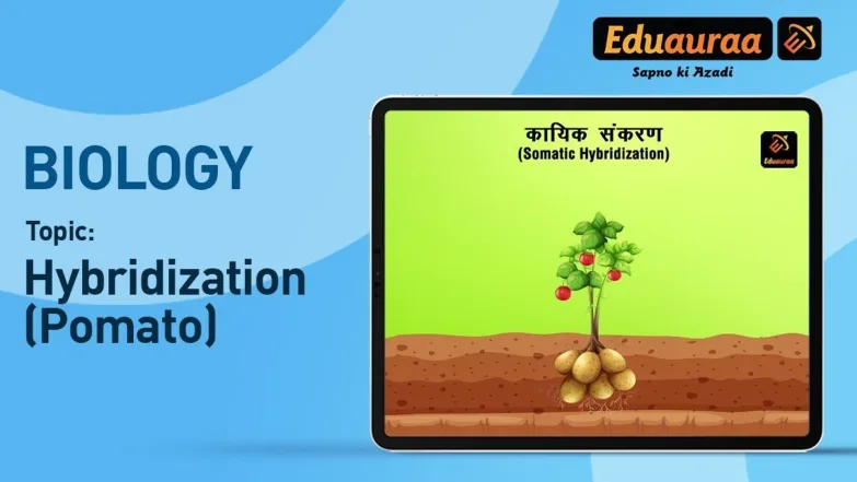 Hybridization and Micropropagation 