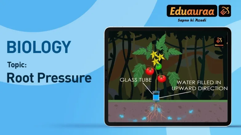 Root Pressure 