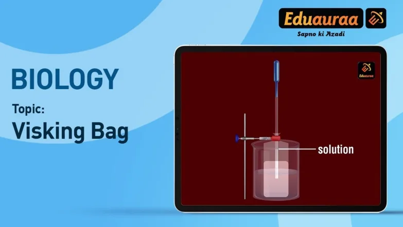 Visking Bag 