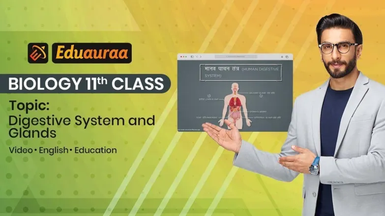 Digestive System and Glands 