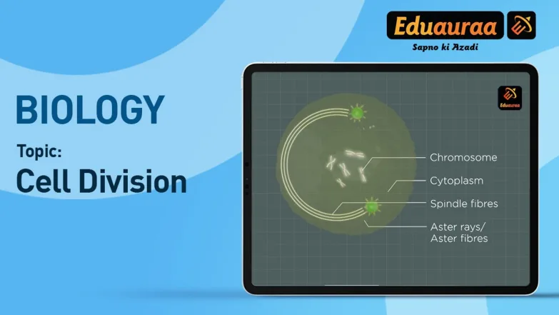 Cell Division 