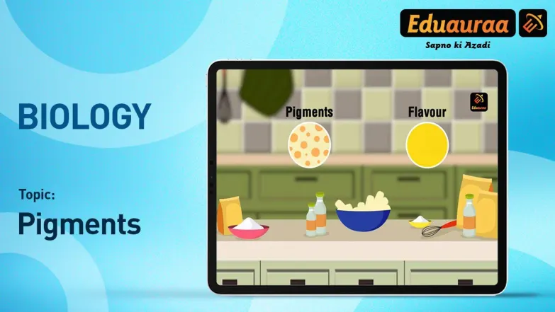 Learn About Cheese Production 