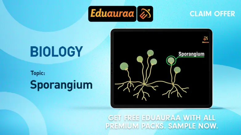 Learn About Spore Formation 
