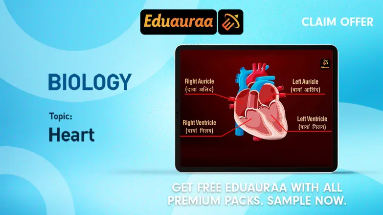 Learn About The Human Circulatory System 